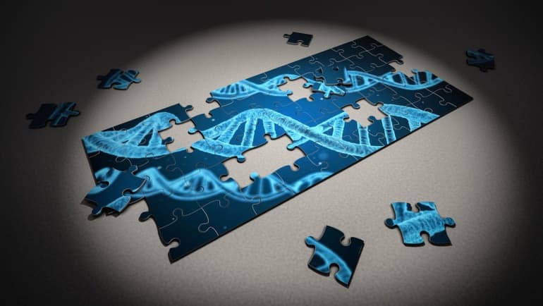 2015 Vienna: Why bioethics? – Bioethical issues facing people today